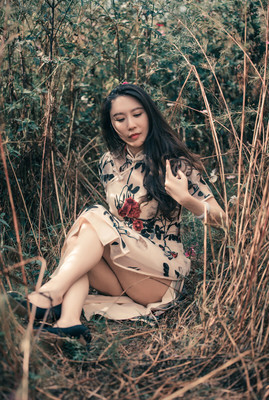 我的花园场景originalversion